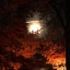 Осенняя ночь.